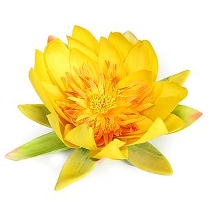 LOTUS FLOTANTE ø 20CM