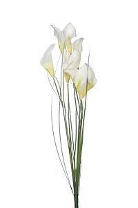 RAMO CALA X 8 FOAM ARTIFICIAL 