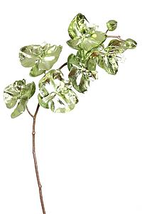 ORQUIDEA METALIZADA, 79CM