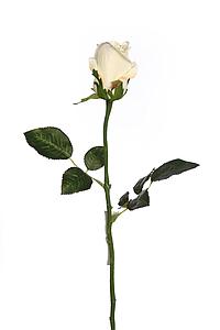 VARA CAPULLO DE ROSA ARTIFICIAL 60CM 