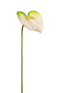 VARA ANTURIUM ARTIFICIAL 65CM 