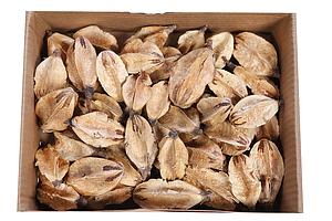 CAJA 50UD FRUTOS LILIS LOOSE 