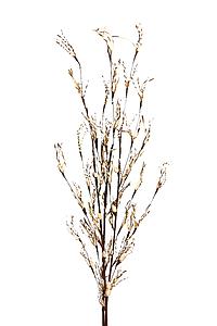 SOLA FOREST STICK 100CM