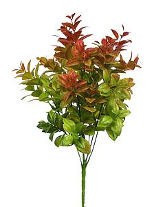 MATA DE EUCALIPTO 34 CM 