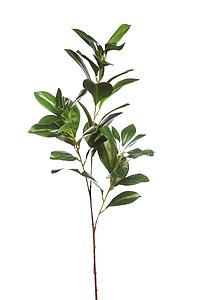 VARA RUSCUS ARTIFICIAL 70CM