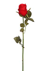 VARA DE CAPULLO ARTIFICIAL 60CM