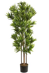 DRACENA ARTIFICIAL 150CM