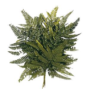 POMO HELECHO CUERO PRESERVADO 40CM