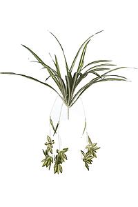 PLANTA CINTA CLOROFITO ARTIFICIAL 35CM