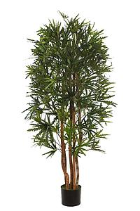 PLANTA ARALIA ARTIFICIAL 160CM