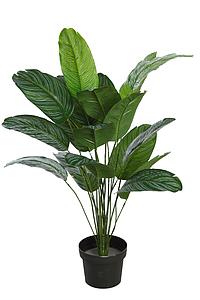 PLANTA CALATHEA EN MACETA ARTIFICIAL 65CM