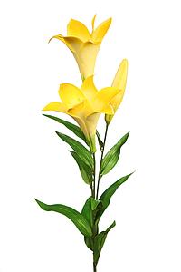 VARA LILIUM DE FOAM X2, ALT. 85CM