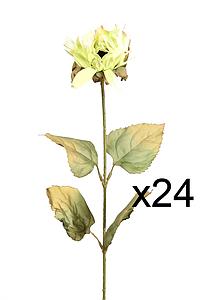 CAJA 24 VARAS GIRASOL OTOÑAL