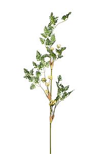 VARA SNOWBALL, 110 CM