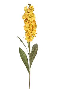 VARA DELPHINIUM, 74CM