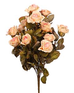 ROSA FRANCIA X14, 48 CM