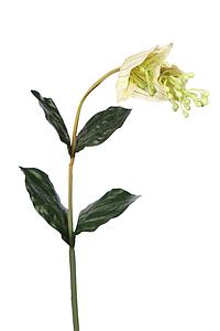 HELICONIA TROPICAL ARTIFICIAL 90CM 