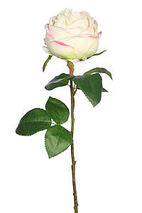 VARA ROSA ARTIFICIAL 48CM 