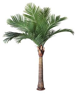 PALMERA COCOTERO ARTIFICIAL 280CM BASE METAL 