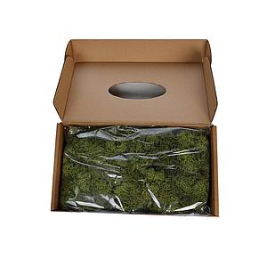 CAJA DE MUSGO FINLANDES PRESERVADO 400GR 