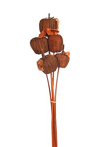  MANZANAS DE FIBRA SET X5 48CM