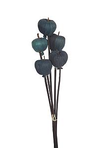 VARA SECO FRUIT X5 36CM 