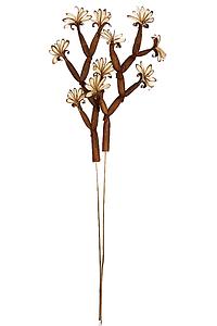 SOLA HALDER TREE ON STEM 2UD 70CM