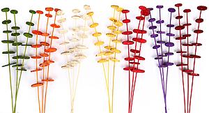 VARA RODAJAS DE MADERA 3UD 80CM