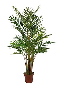 PALMERA BAMBU 145 CM
