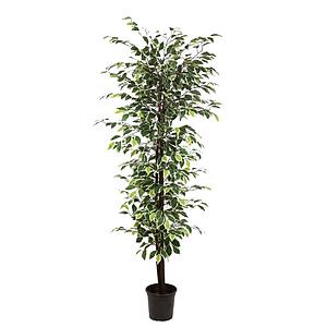 FICUS ARTIFICIAL CON MACETA 175CM