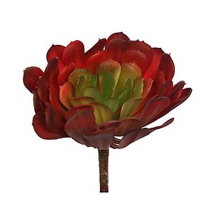 PLANTA CACTUS 18CM