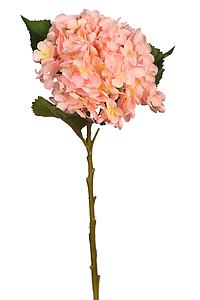 VARA HORTENSIA 50CM