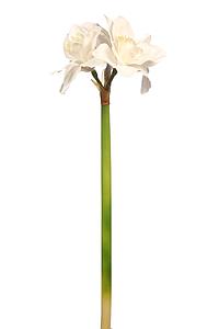 VARA AMARILIS ARTIFICIAL 64CM