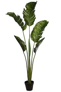 PALMERA RAVENALA ARTIFICIAL 190CM 