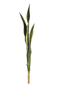  HOJAS SANSEVIERIA ARTIFICIAL 65CM