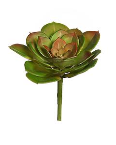 CRASA ECHEVERIA TESENSIS ARTIFICIAL 10CM