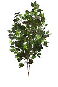 RAMA FICUS GIGANTE 120CM 