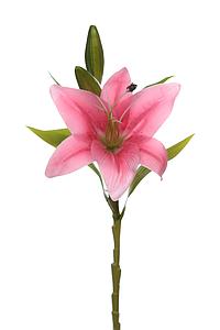 VARA LILIUM TIGRE ARTIFICIAL 35CM
