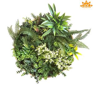 CUADRO VEGETAL REDONDO ø 50CM