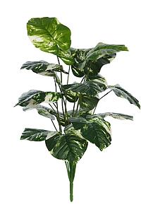 PLANTA POTHO ARTIFICIAL 65CM