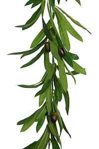 GUIRNALDA OLIVO ARTIFICIAL 180CM