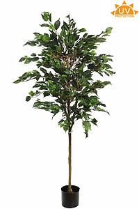 ARBOL FICUS ARTIFICIAL 160CM