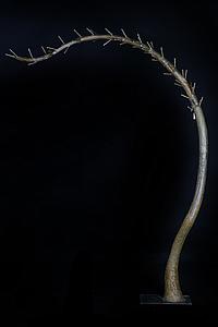 TRONCO ARTIFICIAL 265CM