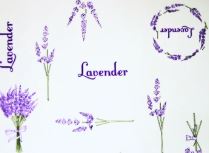 CELOFAN TRANSPARTENTE LAVANDA 70CM