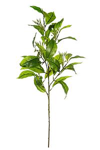 VARA JAZMIN ARTIFICIAL 80CM