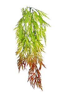 CUERNO ARCE ARTIFICIAL COLGANTE 75CM