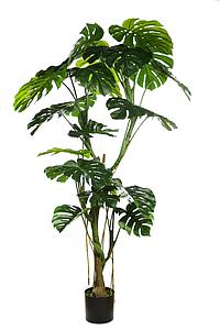 MONSTERA ARTIFICIAL 210CM