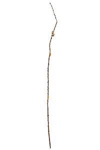 PUSSYWILLOW SAUCE 145CM